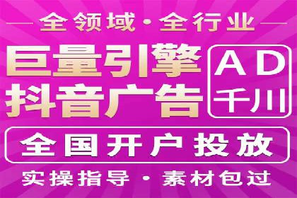 SEM搜索引擎优化策略解析与应用案例